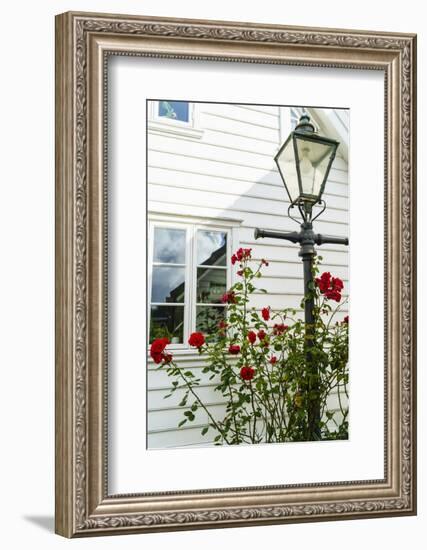 Old Stavanger (Gamle Stavanger) - About 250 Buildings Dating from Early 18th Century, Norway-Amanda Hall-Framed Photographic Print