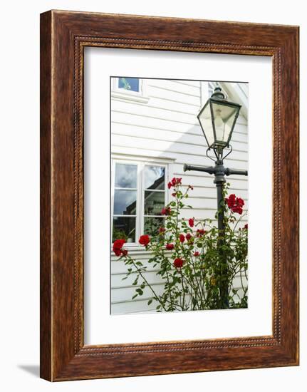 Old Stavanger (Gamle Stavanger) - About 250 Buildings Dating from Early 18th Century, Norway-Amanda Hall-Framed Photographic Print