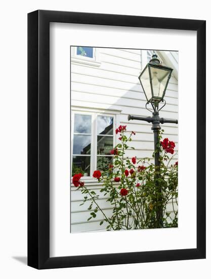 Old Stavanger (Gamle Stavanger) - About 250 Buildings Dating from Early 18th Century, Norway-Amanda Hall-Framed Photographic Print