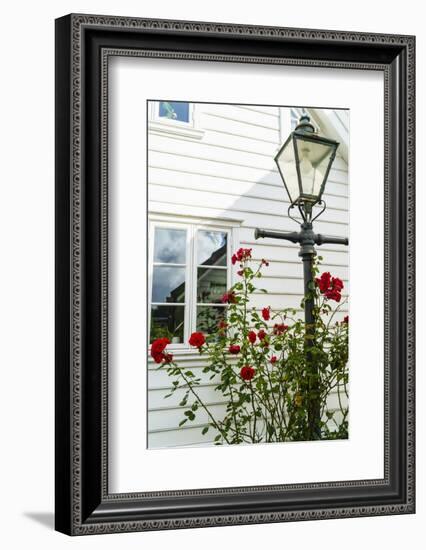 Old Stavanger (Gamle Stavanger) - About 250 Buildings Dating from Early 18th Century, Norway-Amanda Hall-Framed Photographic Print