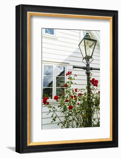 Old Stavanger (Gamle Stavanger) - About 250 Buildings Dating from Early 18th Century, Norway-Amanda Hall-Framed Photographic Print