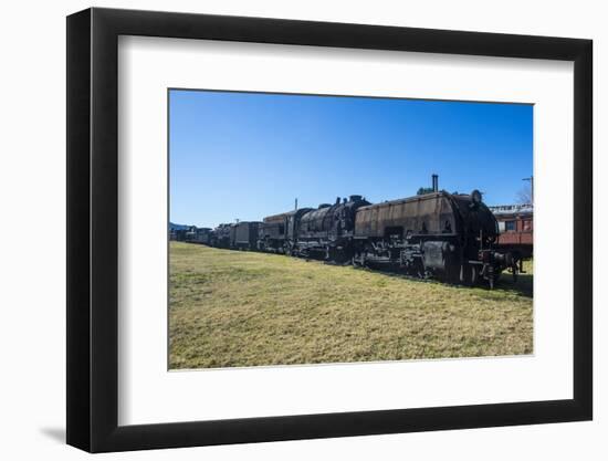 Old steam trains from the Dorrigo railway line, Dorrigo National Park, New South Wales, Australia, -Michael Runkel-Framed Photographic Print