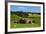 Old Stone Barn and Farmland, Near Taieri Mouth, Dunedin, Otago, South Island, New Zealand-David Wall-Framed Photographic Print