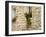 Old Stone House, Istria, Croatia-Russell Young-Framed Photographic Print