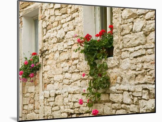 Old Stone House, Istria, Croatia-Russell Young-Mounted Photographic Print