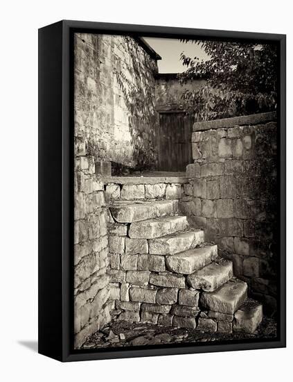 Old Stone Steps-Tim Kahane-Framed Premier Image Canvas