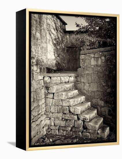 Old Stone Steps-Tim Kahane-Framed Premier Image Canvas