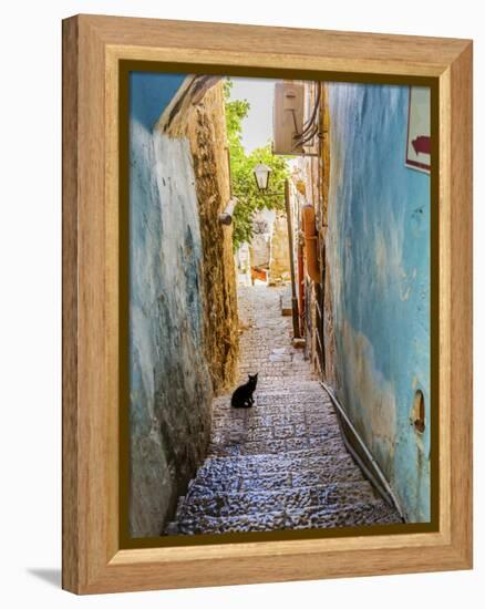 Old Stone Street with Black Cat, Safed, Tsefat, Israel-William Perry-Framed Premier Image Canvas