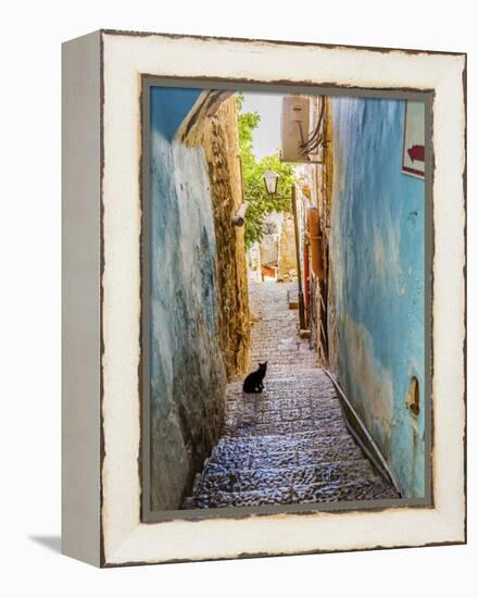 Old Stone Street with Black Cat, Safed, Tsefat, Israel-William Perry-Framed Premier Image Canvas