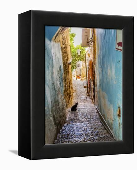 Old Stone Street with Black Cat, Safed, Tsefat, Israel-William Perry-Framed Premier Image Canvas