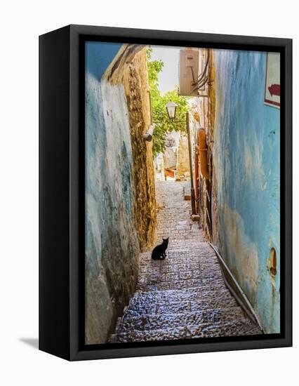 Old Stone Street with Black Cat, Safed, Tsefat, Israel-William Perry-Framed Premier Image Canvas