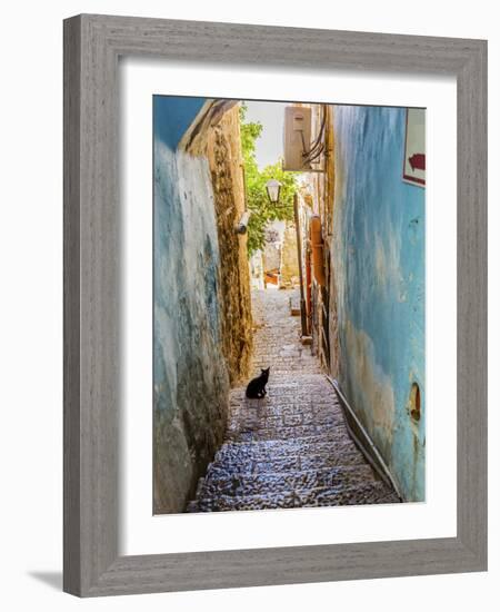 Old Stone Street with Black Cat, Safed, Tsefat, Israel-William Perry-Framed Photographic Print