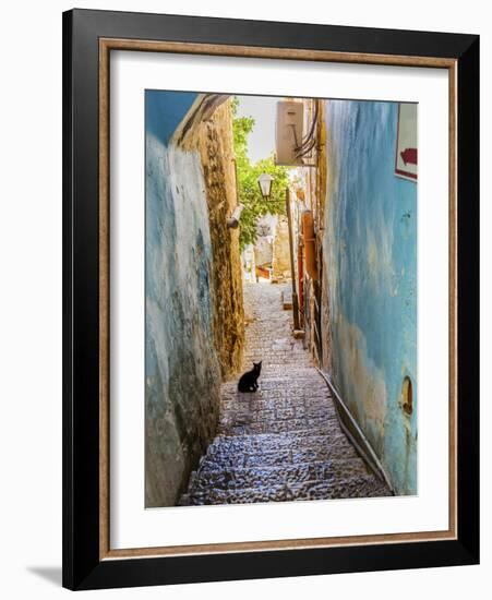 Old Stone Street with Black Cat, Safed, Tsefat, Israel-William Perry-Framed Photographic Print