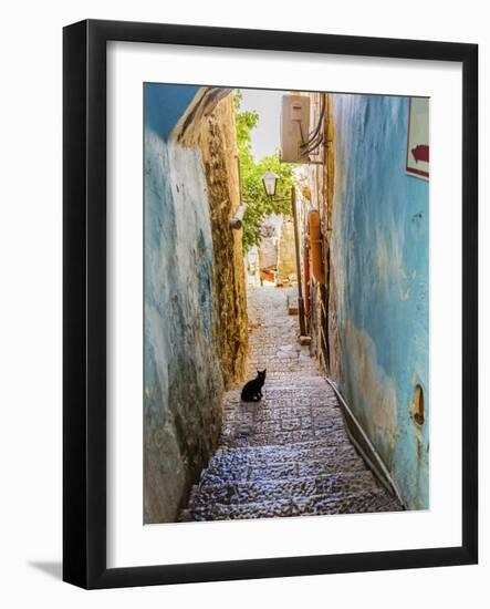 Old Stone Street with Black Cat, Safed, Tsefat, Israel-William Perry-Framed Photographic Print