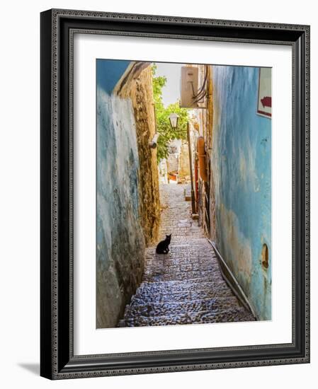 Old Stone Street with Black Cat, Safed, Tsefat, Israel-William Perry-Framed Photographic Print