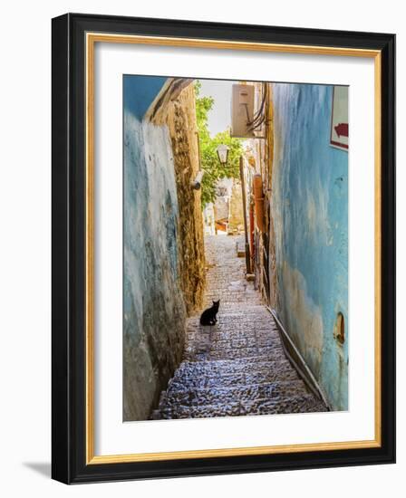 Old Stone Street with Black Cat, Safed, Tsefat, Israel-William Perry-Framed Photographic Print