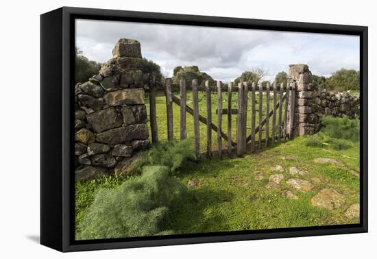 Old Stone Wall and Wooden Fence Keep in Sheep Living at Parco Archeologico Di Iloi, Italy, Oristano-Alida Latham-Framed Premier Image Canvas