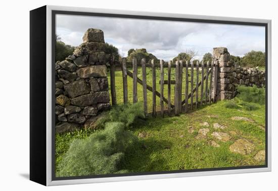 Old Stone Wall and Wooden Fence Keep in Sheep Living at Parco Archeologico Di Iloi, Italy, Oristano-Alida Latham-Framed Premier Image Canvas