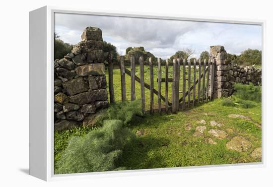Old Stone Wall and Wooden Fence Keep in Sheep Living at Parco Archeologico Di Iloi, Italy, Oristano-Alida Latham-Framed Premier Image Canvas
