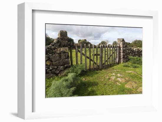 Old Stone Wall and Wooden Fence Keep in Sheep Living at Parco Archeologico Di Iloi, Italy, Oristano-Alida Latham-Framed Photographic Print