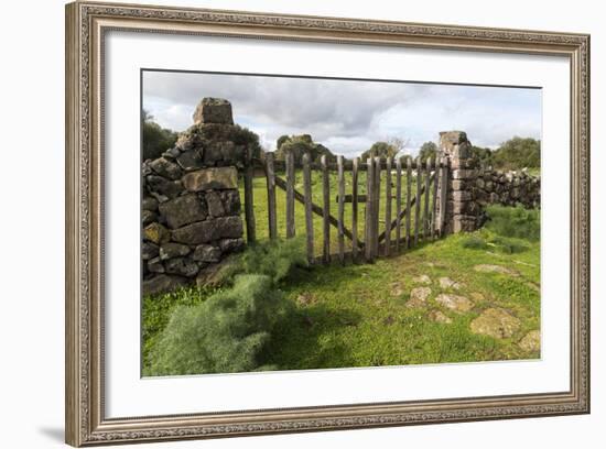 Old Stone Wall and Wooden Fence Keep in Sheep Living at Parco Archeologico Di Iloi, Italy, Oristano-Alida Latham-Framed Photographic Print