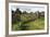 Old Stone Wall and Wooden Fence Keep in Sheep Living at Parco Archeologico Di Iloi, Italy, Oristano-Alida Latham-Framed Photographic Print