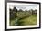 Old Stone Wall and Wooden Fence Keep in Sheep Living at Parco Archeologico Di Iloi, Italy, Oristano-Alida Latham-Framed Photographic Print