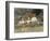 Old Surrey Cottage-Helen Allingham-Framed Premium Giclee Print