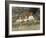 Old Surrey Cottage-Helen Allingham-Framed Giclee Print