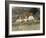 Old Surrey Cottage-Helen Allingham-Framed Giclee Print