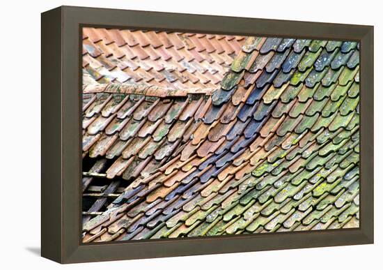 Old Tiled Roof-Dr. Keith Wheeler-Framed Premier Image Canvas