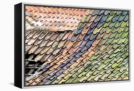 Old Tiled Roof-Dr. Keith Wheeler-Framed Premier Image Canvas