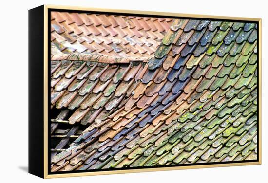 Old Tiled Roof-Dr. Keith Wheeler-Framed Premier Image Canvas