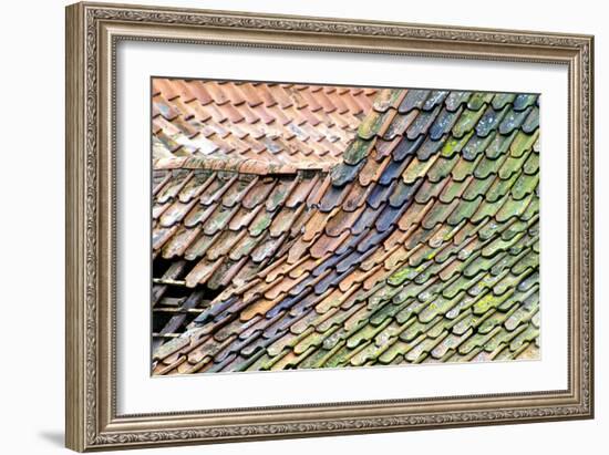 Old Tiled Roof-Dr. Keith Wheeler-Framed Premium Photographic Print