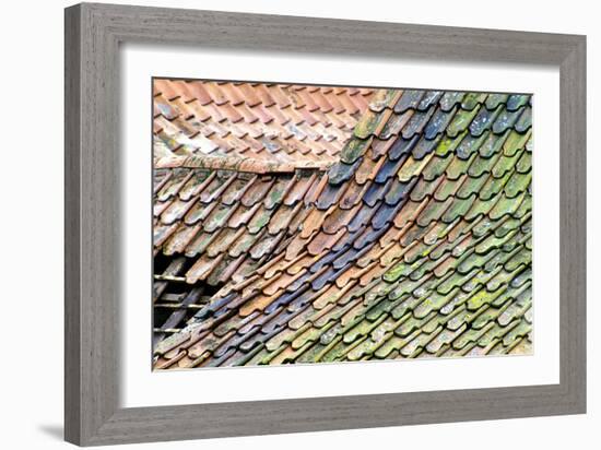 Old Tiled Roof-Dr. Keith Wheeler-Framed Premium Photographic Print