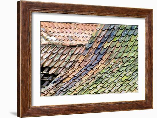 Old Tiled Roof-Dr. Keith Wheeler-Framed Premium Photographic Print