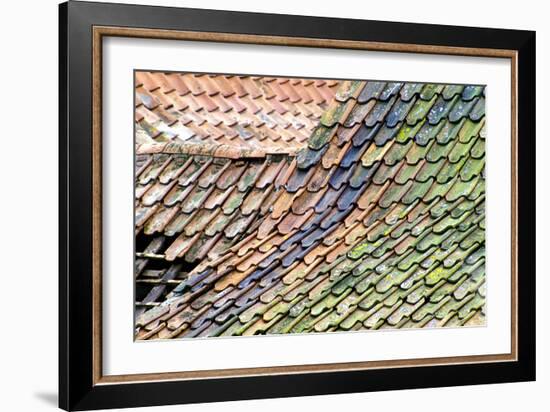 Old Tiled Roof-Dr. Keith Wheeler-Framed Premium Photographic Print