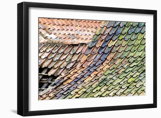 Old Tiled Roof-Dr. Keith Wheeler-Framed Premium Photographic Print
