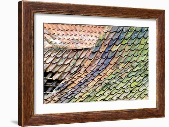 Old Tiled Roof-Dr. Keith Wheeler-Framed Photographic Print