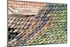 Old Tiled Roof-Dr. Keith Wheeler-Mounted Photographic Print