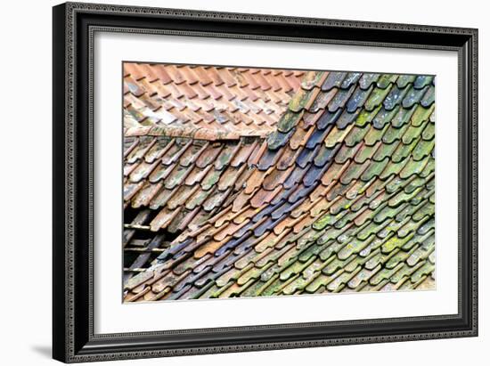 Old Tiled Roof-Dr. Keith Wheeler-Framed Photographic Print
