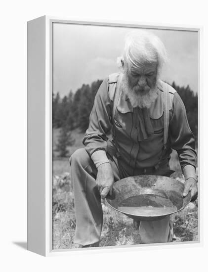 Old-Time Gold Prospector with Pan in Hands-Philip Gendreau-Framed Premier Image Canvas