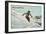 Old Time Skier, Killington-null-Framed Art Print