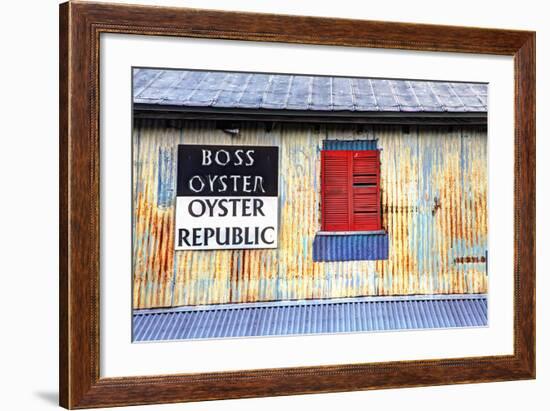 Old Tin Building with Red Shutters, Apalachicola, Florida, USA-Joanne Wells-Framed Photographic Print