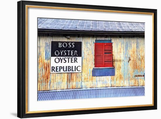 Old Tin Building with Red Shutters, Apalachicola, Florida, USA-Joanne Wells-Framed Photographic Print