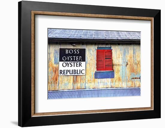 Old Tin Building with Red Shutters, Apalachicola, Florida, USA-Joanne Wells-Framed Photographic Print