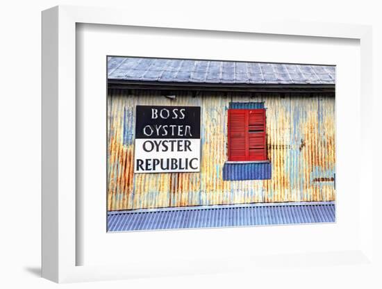 Old Tin Building with Red Shutters, Apalachicola, Florida, USA-Joanne Wells-Framed Photographic Print