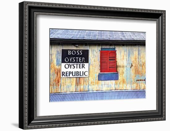 Old Tin Building with Red Shutters, Apalachicola, Florida, USA-Joanne Wells-Framed Photographic Print