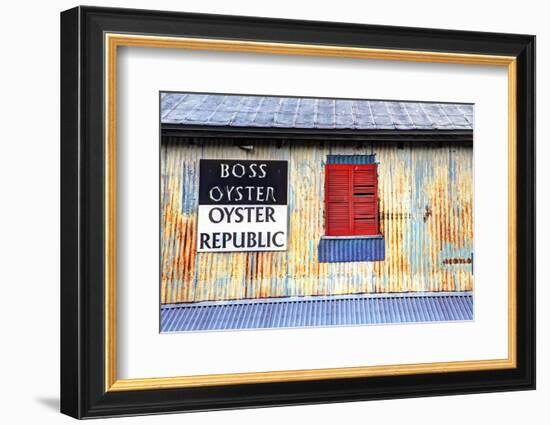 Old Tin Building with Red Shutters, Apalachicola, Florida, USA-Joanne Wells-Framed Photographic Print