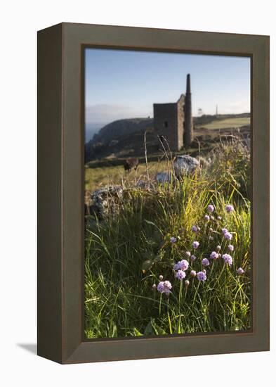 Old Tin Mine Workings, Botallack, Pendeen,Cornwall, England-Paul Harris-Framed Premier Image Canvas